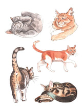 Load image into Gallery viewer, Cat's Meow Sticker Book