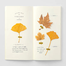 Load image into Gallery viewer, TRAVELER'S notebook 025 MD Paper Cream