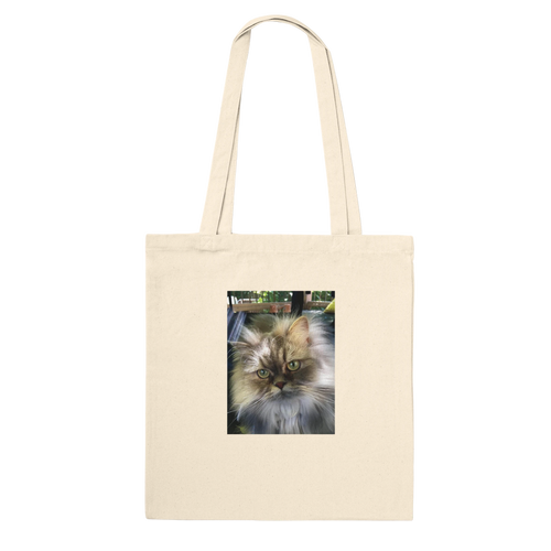 2e3d0322-197e-44df-bf7a-27a62367fd37