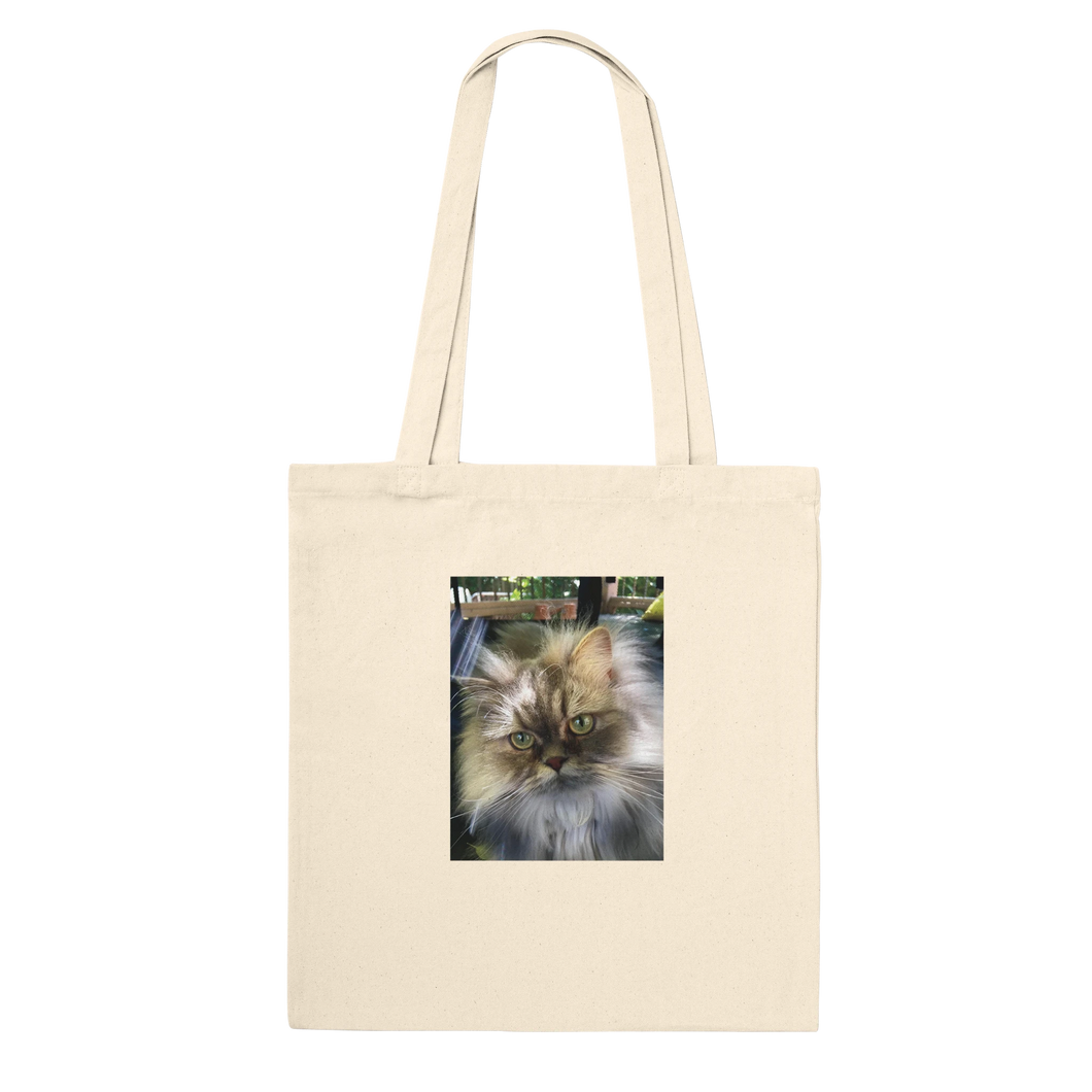 2e3d0322-197e-44df-bf7a-27a62367fd37