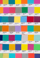 Load image into Gallery viewer, Pantone Chips Journal
