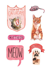 Load image into Gallery viewer, Cat's Meow Sticker Book
