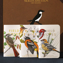 Load image into Gallery viewer, Birds and Trees of North America: Pack A: Screech Owl - Blue Jay - Brewer Sparrow
